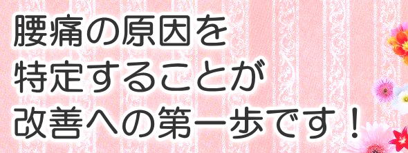 腰痛の原因を特定することが改善への第一歩です!