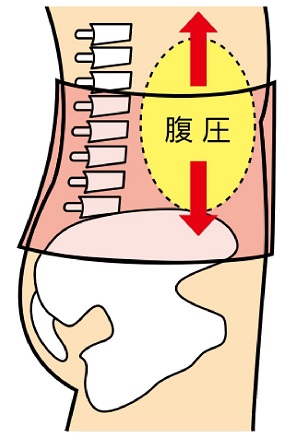 産後の骨盤ベルト
